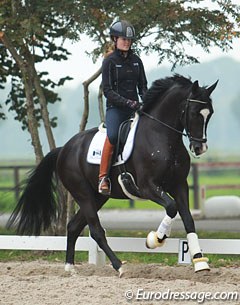 Lisanne der Nederlanden on Go Legend (by Totilas x Ferro)