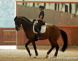 Marlies van Baalen practising the piaffe on the home bred Grand Prix horse Zigeuner
