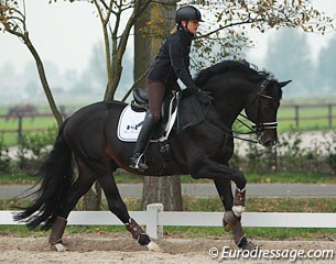 Marlies patting her rising Grand Prix star Zinidi