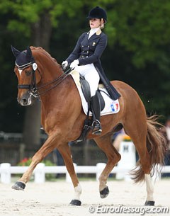 Weltrubin at the 2014 CDI Compiegne :: Photo © Astrid Appels