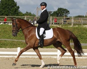 Lars Baekgaard on Nørregårds Denzel (by Don Romantic x -West Ibi-Light) :: Photo © Ridehesten.com