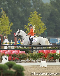 Show jumping at the 2014 European Pony Championships