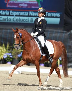 Maria Esperanza Navarro Torrens on Carlo Colucci