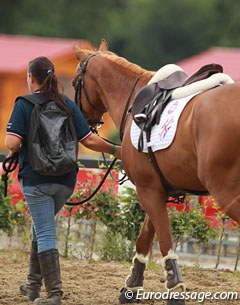 Can hardly believe that this jumper is an actual pony