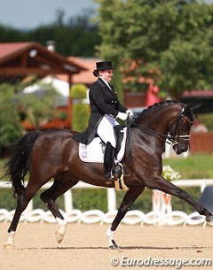 German Juliette Piotrowski on her powerfully trotting Sir Diamond. A problem with a flying change at A tampered with the score