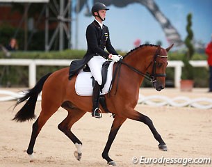 Sönke Rothenberger and Cosmo at the 2014 European Young Riders Championships in Arezzo, Italy :: Photo © Astrid Appels