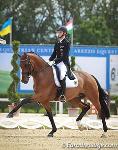 Sönke Rothenberger and Cosmo