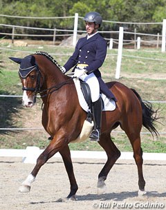 Miguel Castelo and Weserprinz at the 2014 Portuguese Junior Riders Championships :: Photo © Rui Pedro Godinho