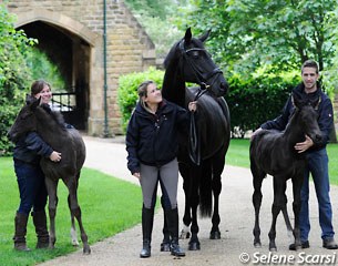 Tia Roma and her 2 ET fillies of 2014: Tia Nova (by Negro) and Tia Fortuna (by Furst Heinrich)