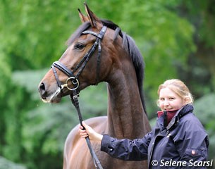 Victoria Stanhope, head of youngstock, with VIP (by Vivaldi x Donnerhall)