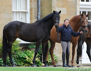 Emma with Top Secret (by Totilas) and her dam FBW Dejavu (by Dacaprio)