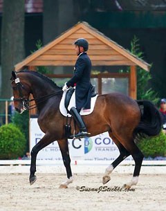 Steffen Peters and Legolas in the Grand Prix at the 2014 U.S. Dressage Championships :: Photo © Sue Stickle