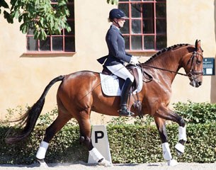 Karin Engström with the adorable 7-year old double talented mare Stephanie (by Sandakan x Good Future)