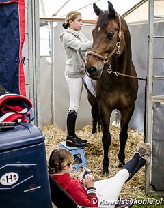 At work in the stable area