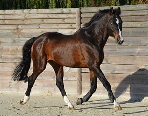 Silvio I at his home in France