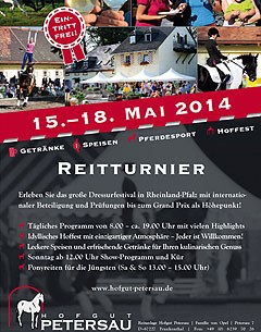 Poster of the 2014 CDN Frankenthal