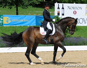 Steffen Peters on Legolas