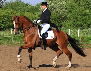 Sune Hansen on the 9-year old Danish bred Carso'Ni