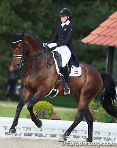 Sille Engermann on Fernet D