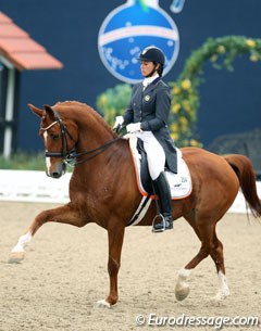 Catherine Haddad-Staller on Hotmail. This horse shows great improvement in a short period of time. He's a very expressive, supple mover but the half halting with elbows behind the body and piano hands could have been more subtle.