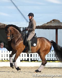 Patrik Kittel schooling Lyndal's young Grand Prix horse Delaunay, aka The Dude, in Hagen