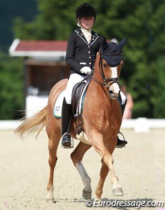 Elin Mattsson on the formerly licensed stallion Bodo