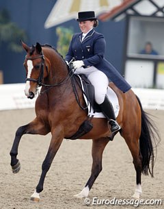 Casey Nilsson and Pentimento in the Louisdor cup qualifier at the 2014 CDI Hagen :: Photo © Astrid Appels