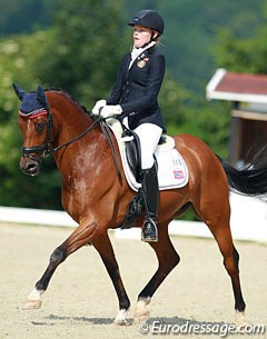 Beukenhof's Ricardo :: Photo © Astrid Appels