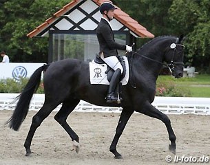 Victor Alfonso Pomares on Dark Berry