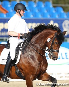 Hubertus Schmidt schooling the gorgeous stallion Florenciano