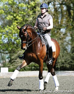 Fiona Bigwood and Sir Donato training at her home in Horsham, Great Britain :: Photo © Silke Rottermann