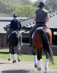 Anders and Fiona taking Selten HW and Sir Donato back to the barn