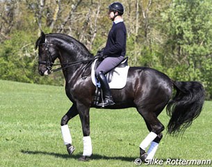 Anders and Selten HW training the piaffe