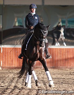 Silve Dietrich-Osten schooling a small tour horse early in the morning