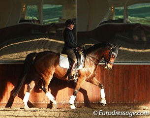 Beautiful light streaming into the indoor arena while Silve schools Dutch warmblood Bojangles