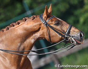 ...until Avec Plaisir bit his tongue and was eliminated for blood in the mouth