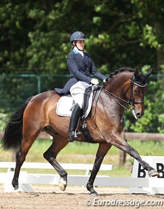 Ona Dewagenaere and Dabanos D'O4 at the 2014 CDI Kapellen :: Photo © Astrid Appels