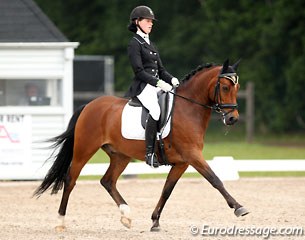 Laura Luyten and Nieuwmoeds Rudo at the 2014 CDI Kapellen :: Photo © Astrid Appels