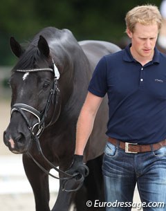 Totilas appeared very relaxed unfazed by the warm up ring and waiting horses in his surrounding