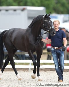 Matthias Rath and Totilas at the vet inspection at the 2014 CDI Kapellen :: Photo © Astrid Appels