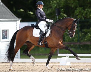 Kebie van der Heijden and Sunrise at the 2014 CDI Kapellen :: Photo © Astrid Appels