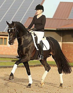 Tolegro (by Totilas x Krack C) :: Photo © Diele