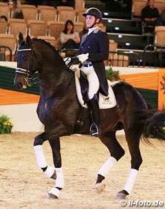 John Tyssen and Easy Game at the 2014 Trakehner Stallion Licensing in Neumunster :: Photo © LL-foto