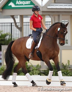 Kaitlin Blythe on the American bred Hanoverian Daverden (by Davignport x Garibaldi I)