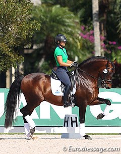 Wellington based Alison Brock on Claudine Kundrun's PRE bred Grand Prix horse Os Nervi, which was previously competed internationally by Luis Lucio :: Photo © Astrid Appels
