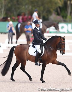 Nicholas Fyffe and the U.S. bred PRE Fiero HGF at the 2014 CDN Wellington :: Photo © Astrid Appels