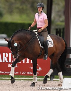 Kim Jesse schooling Charming (by Champus) after the jog