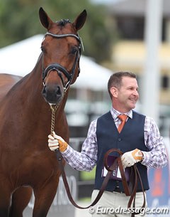 The prize for best dressage at the jog definitely goes to Matt Johnson and his Danish stallion Petersborg Qasanova (by Quaterback)