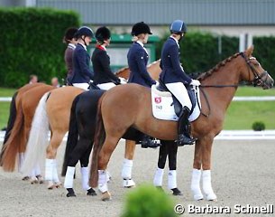 A colourful pony line-up