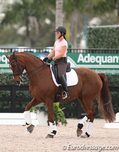 Kasey Perry on the Danish bred Trostruplunds Scarlet (by Don Schufro x Romancier)